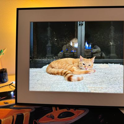 aura frame zoom
